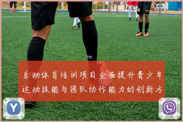 乐动体育培训项目全面提升青少年运动技能与团队协作能力的创新方案