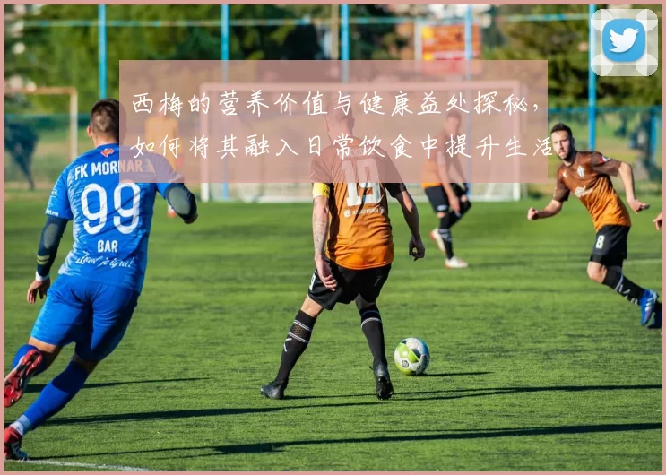 西梅的营养价值与健康益处探秘，如何将其融入日常饮食中提升生活品质